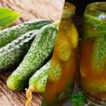 Come chiudere i cetrioli nel ketchup al peperoncino per l'inverno: