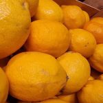 come-far-lavorare-un-limone-per-tre-trucchi-culinari-che.jpg