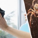 Un prodotto pulisce i vetri e li fa brillare, eliminando