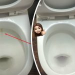 Un prodotto sbianca la tazza del water fino a renderla